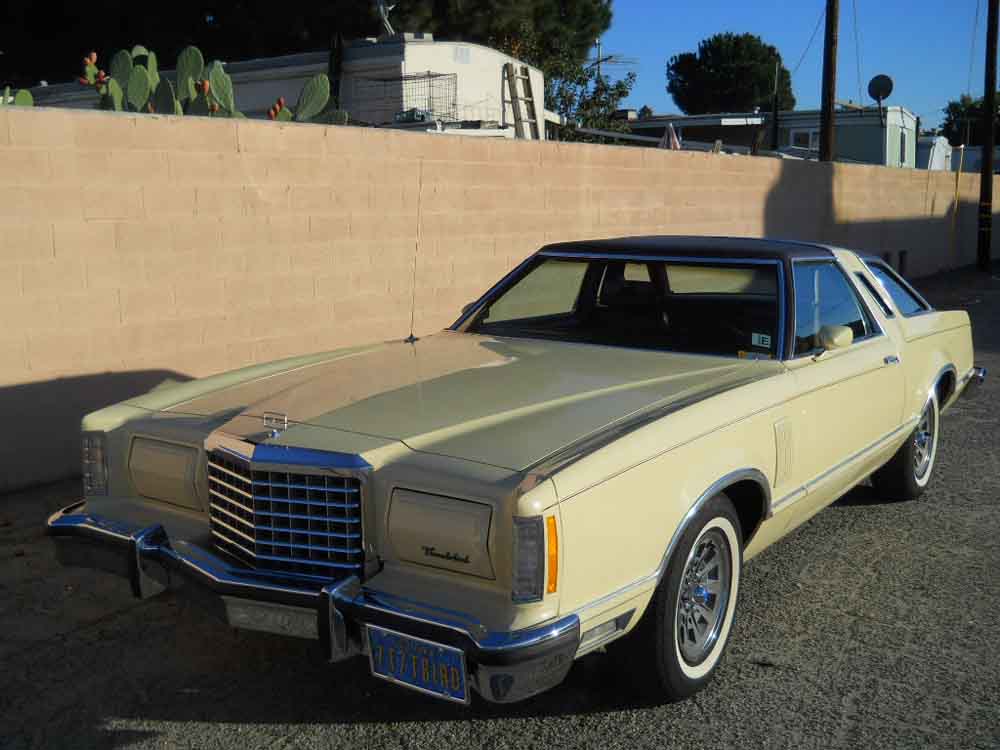 1977 Bird ford t #10