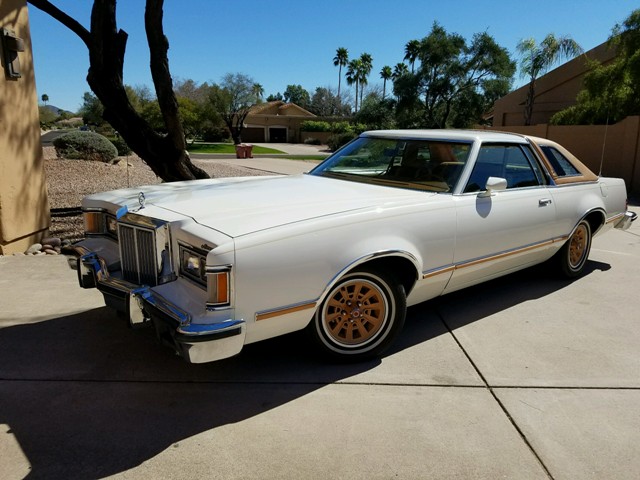 cougar 62